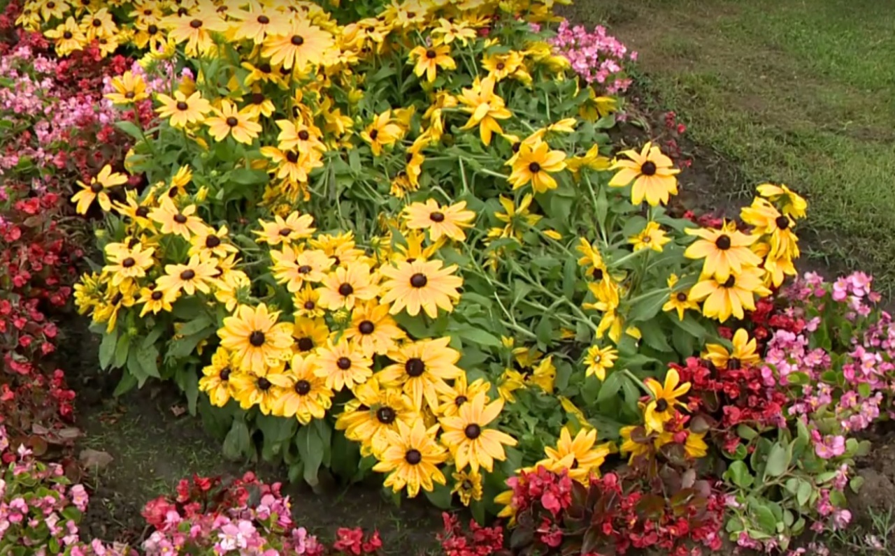 Vandálok „kertészkedtek”