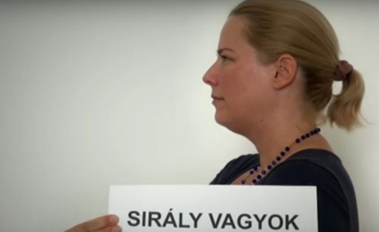 Sirály vagyok