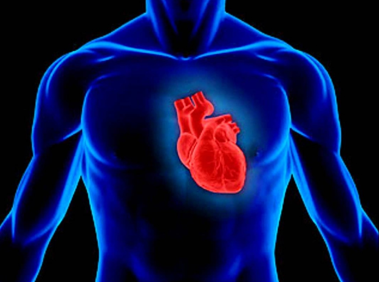 A Szív Világnapja – Fontos a megelőzés