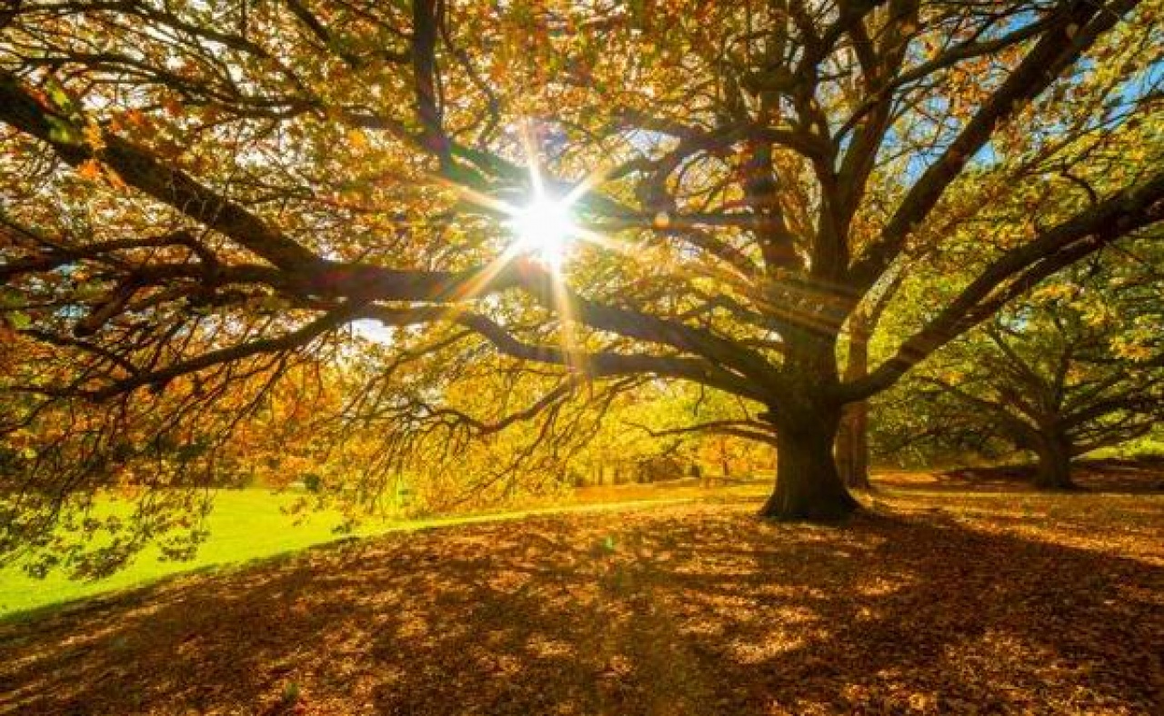 Kora őszi időre van kilátás