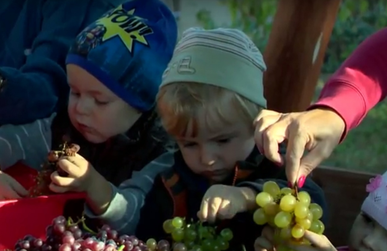 Szüreti mulatság a referenciaintézményben