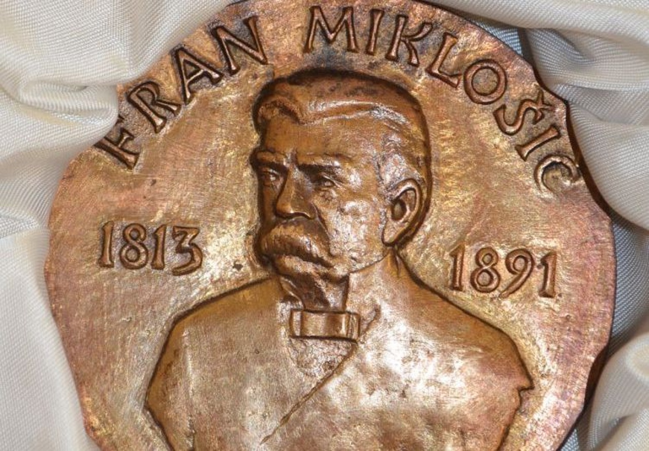 Fran Miklošič-díjat kapott Csekéné dr. Jónás Erzsébet