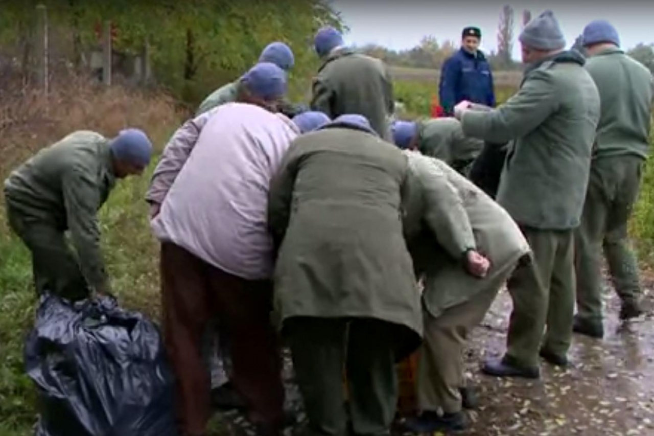 Paprikaszedés karitatív céllal