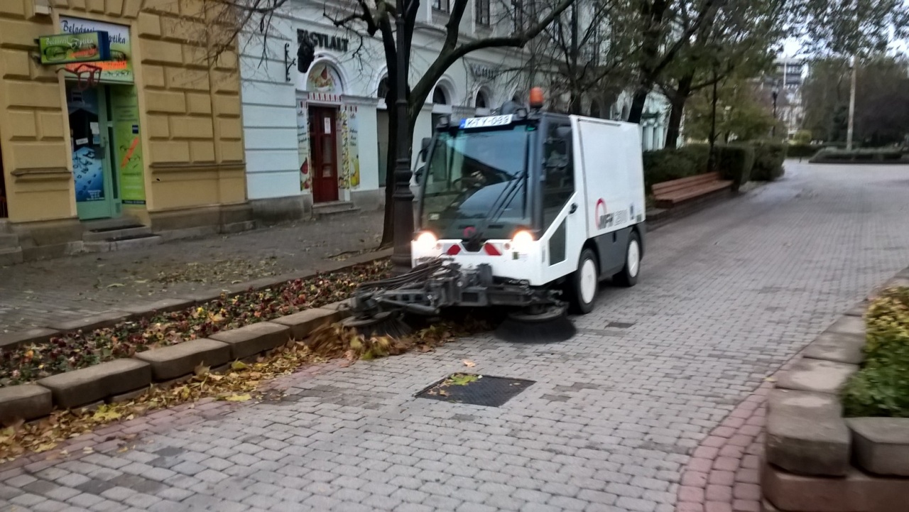 Takarítják a faleveleket