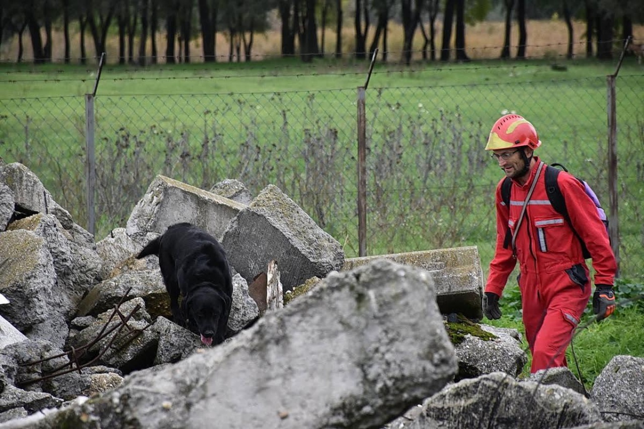 A cunami sem fogott ki rajtuk