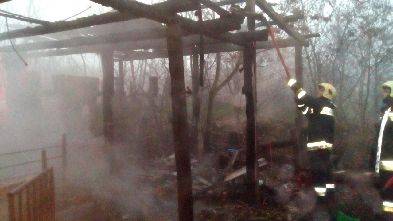 Harminc kismalac pusztult el a tűzben