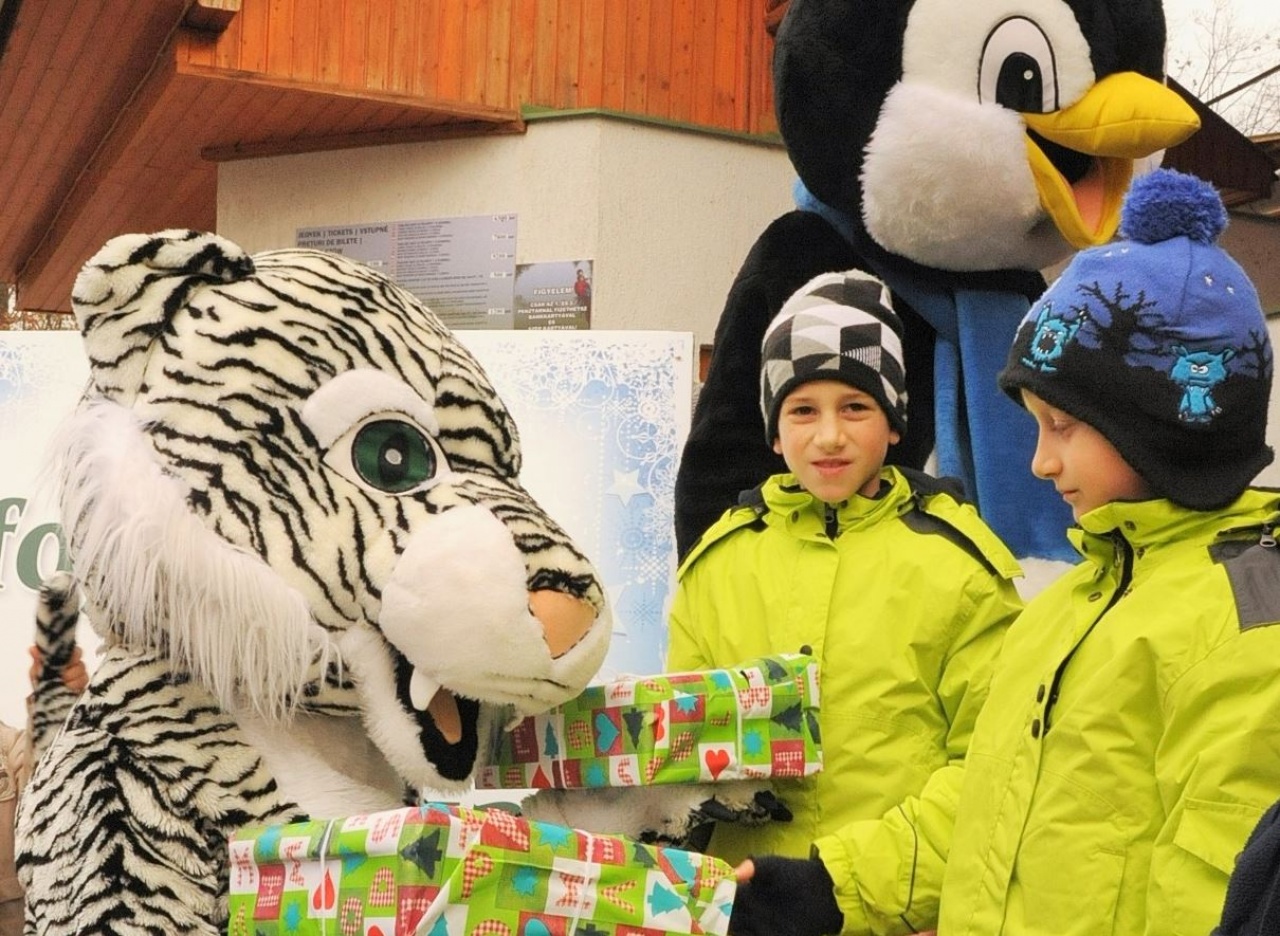 Szombaton 100 forint a belépő a Nyíregyházi Állatparkba