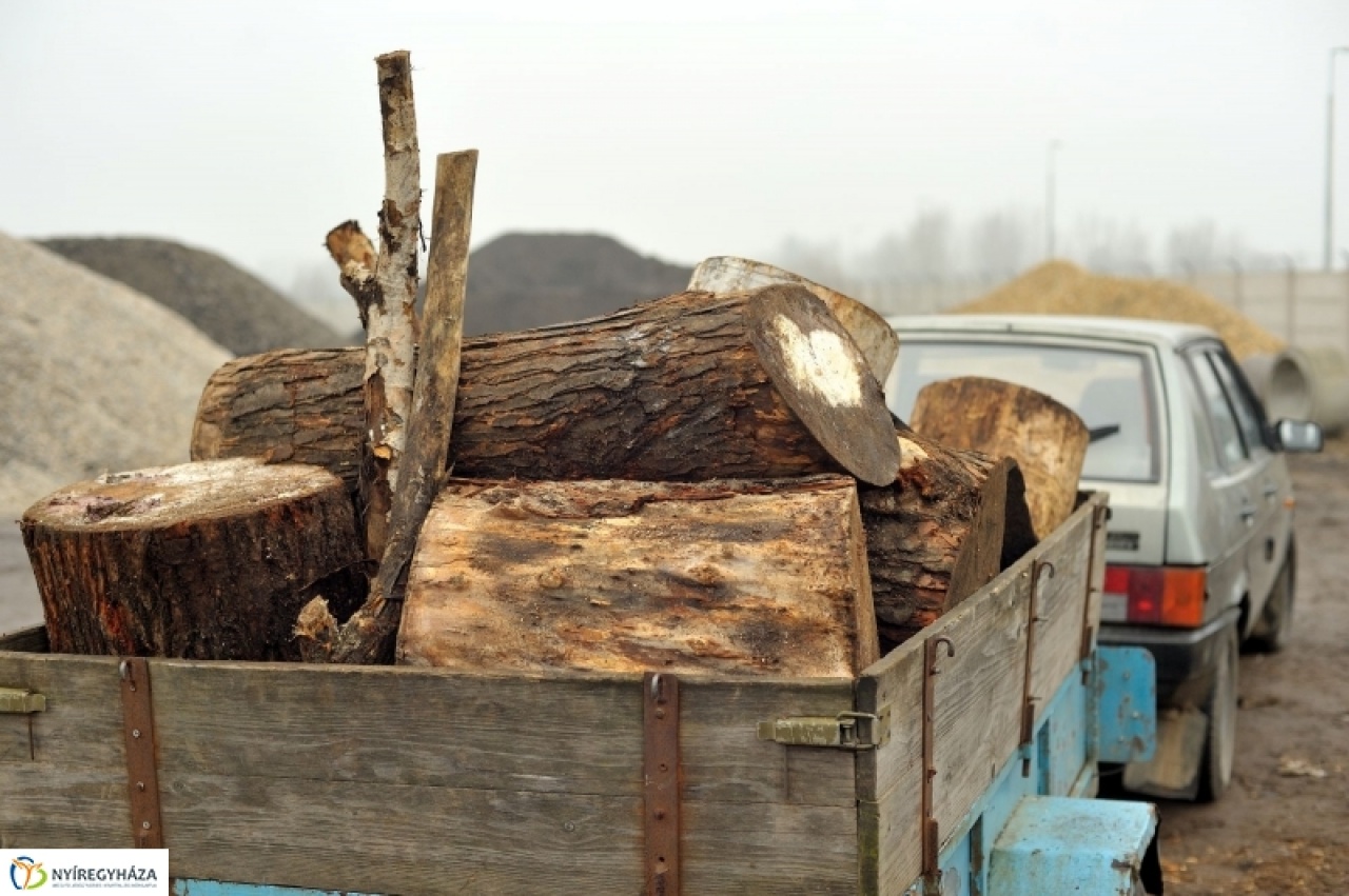 Tűzifa a rászoruló családoknak