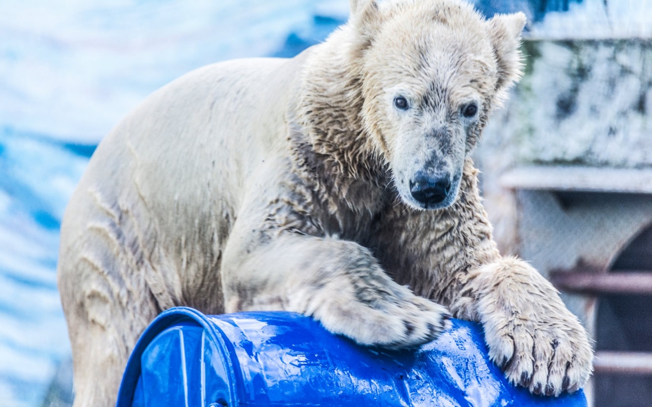 Boldog szülinapot Fiete!