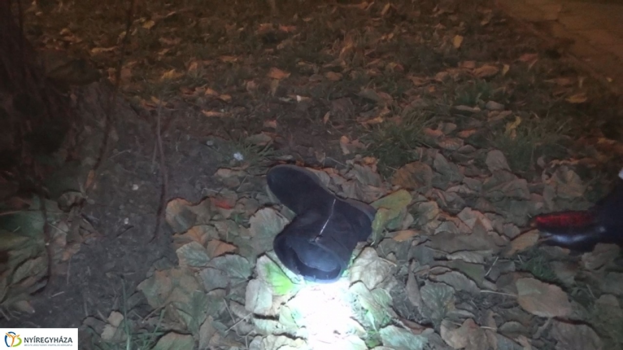 Felvétel a gázolásról