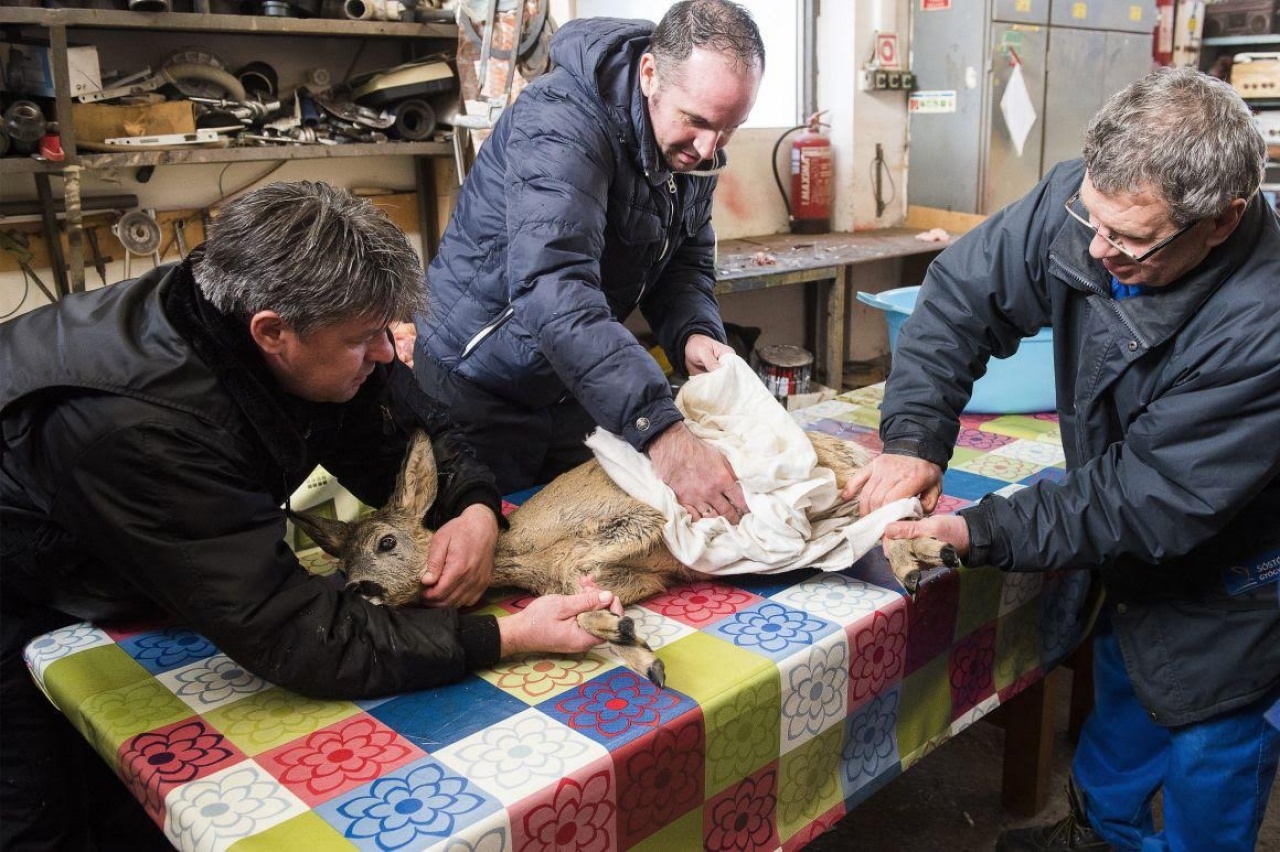 Kétszer mentették meg