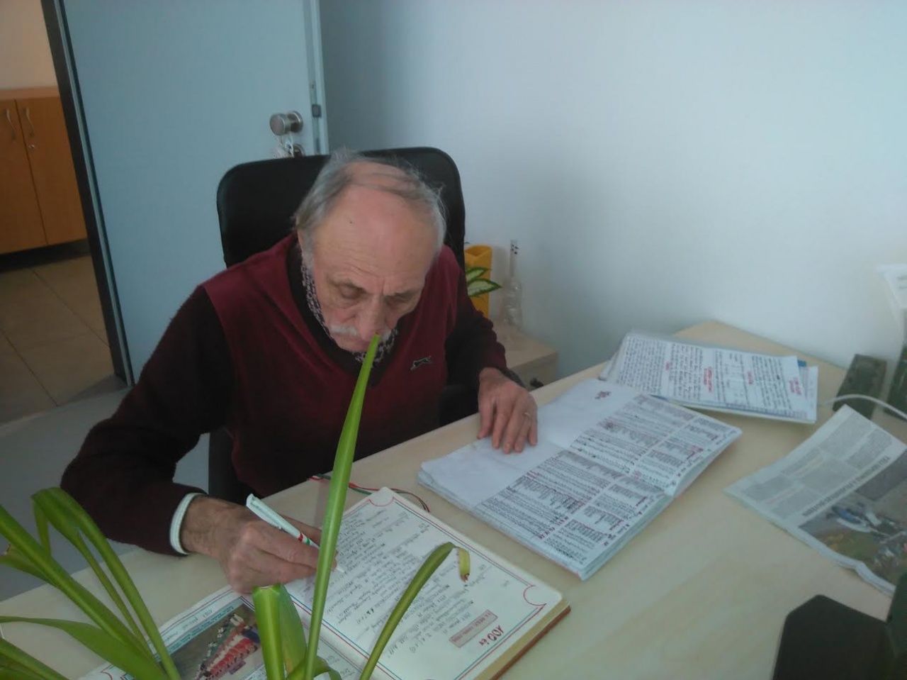 A Szpari féléves értékelése szurkolói szemmel