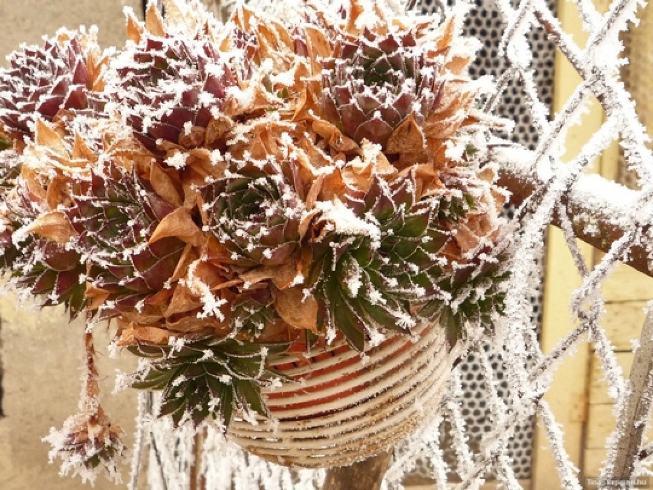 Lehűlésre kell készülni a jövő héten