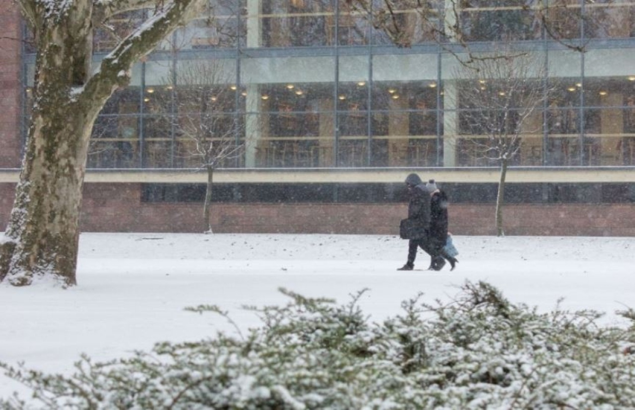 Bírságot kap, aki nem síktalanít