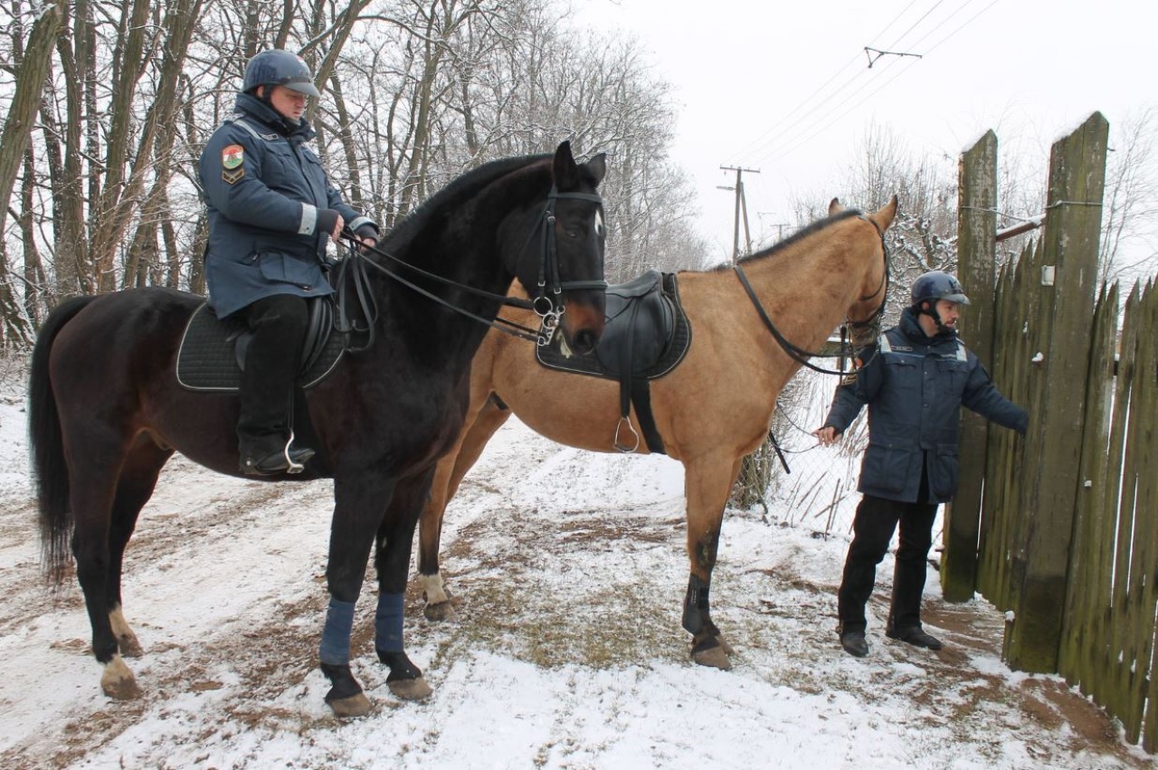Lovas járőrszolgálat a külterületek biztonságáért