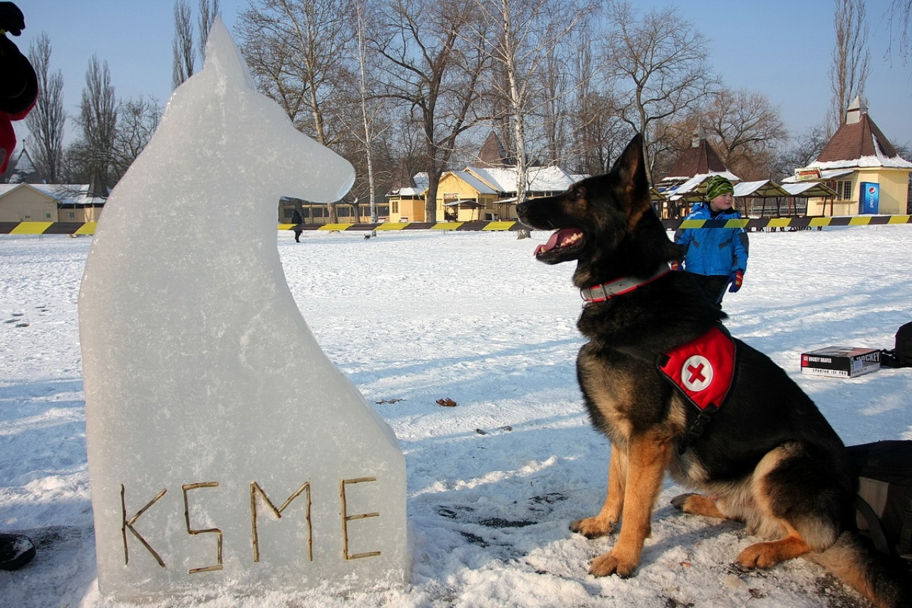 Jeget is faragtak a speciális mentők