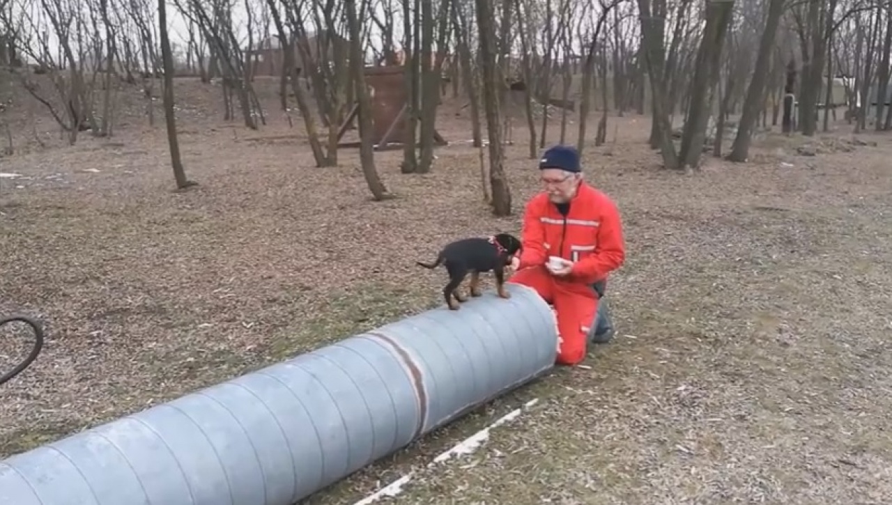 Újonc a kiképzőpályán