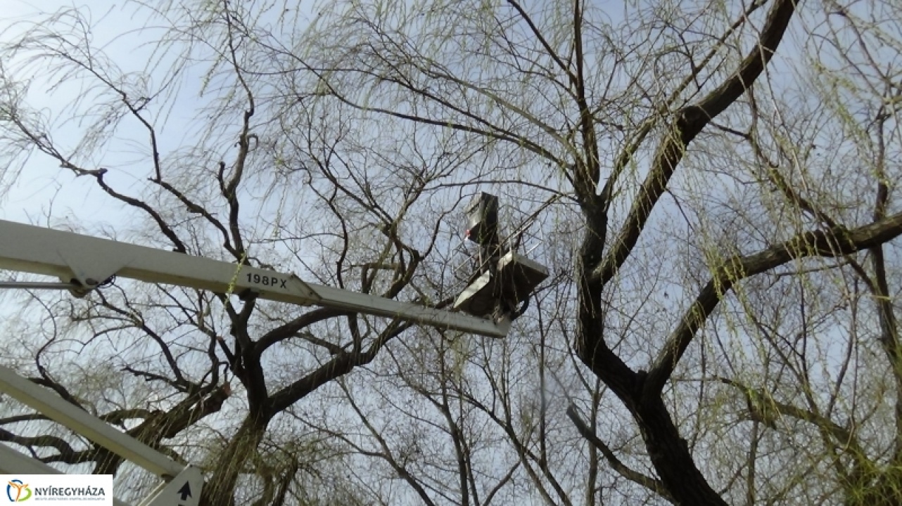 Gallyazás a Törpe utcán