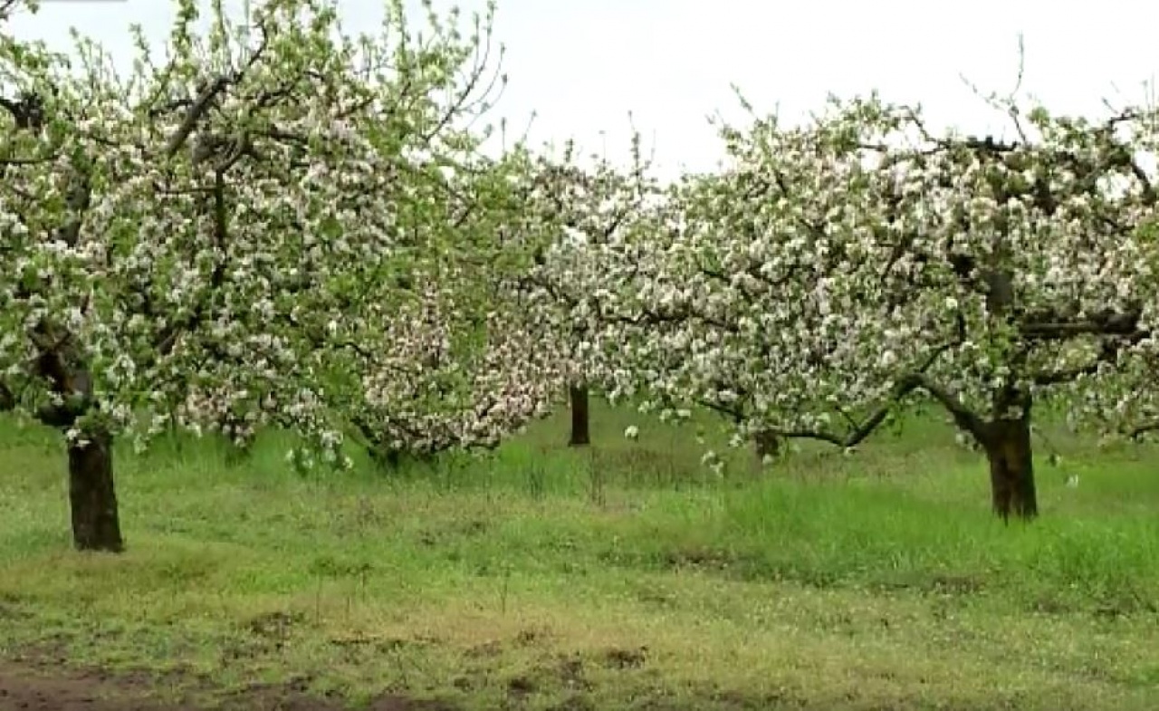 Mezőgazdasági helyzetkép