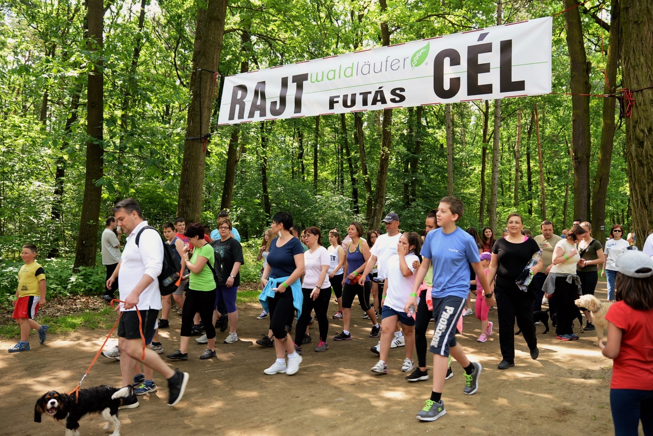 Mit tehetünk, ha nagyon kell...?