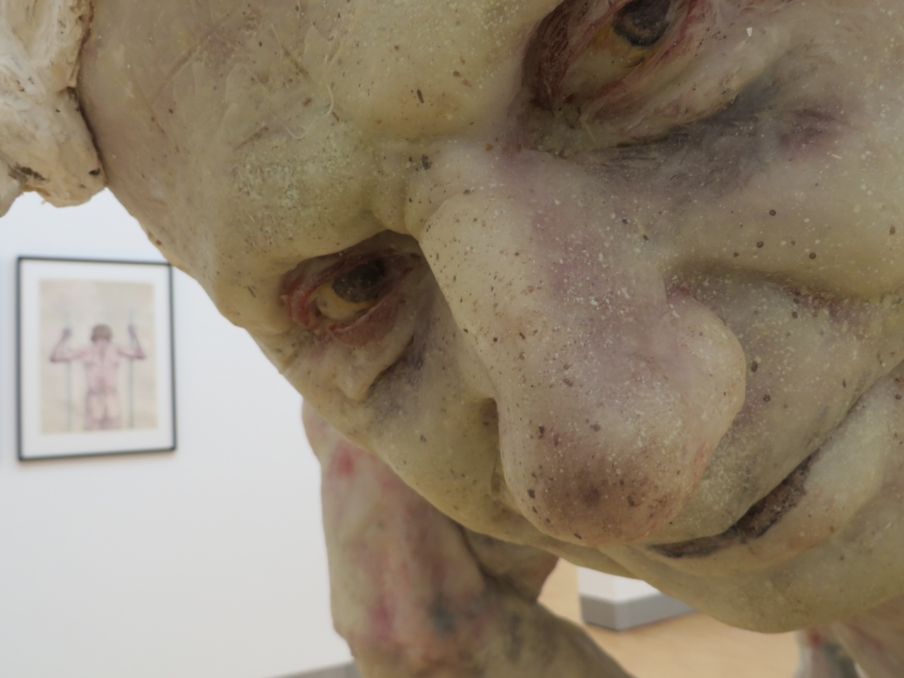 Virgilius Moldovan kiállítása