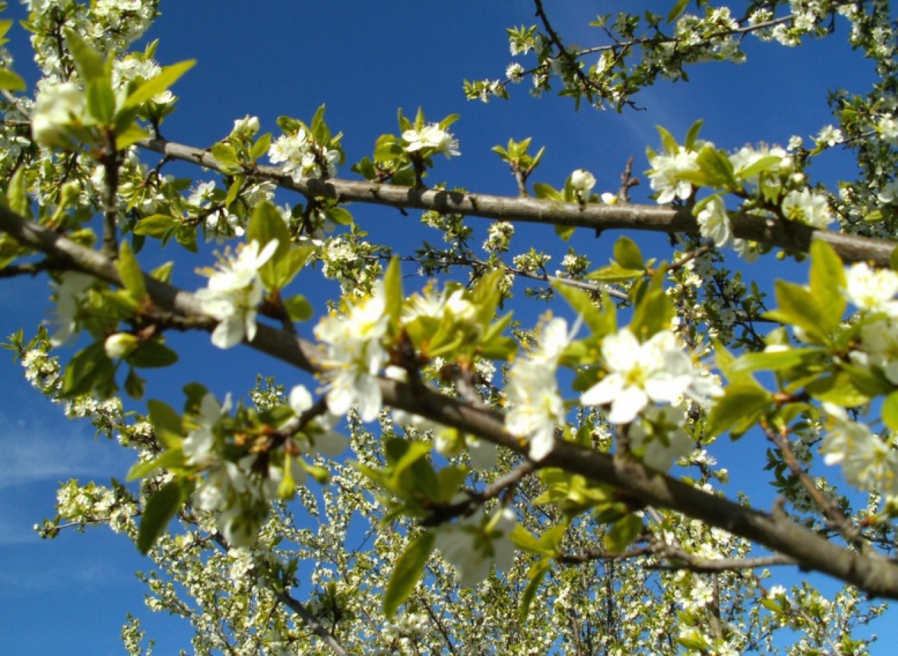 Változékony idő várható a jövő héten