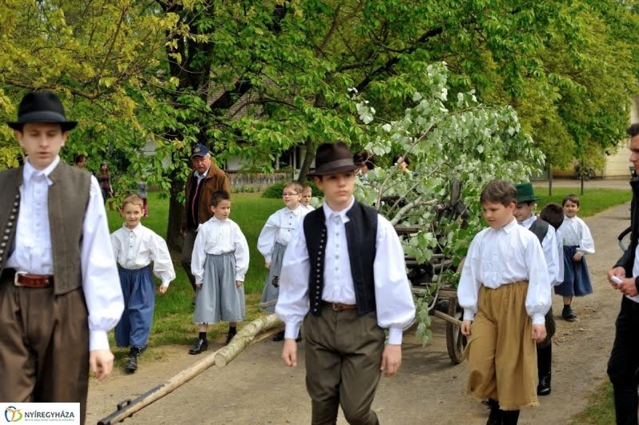 Újra májusfát állítanak a Múzeumfaluban