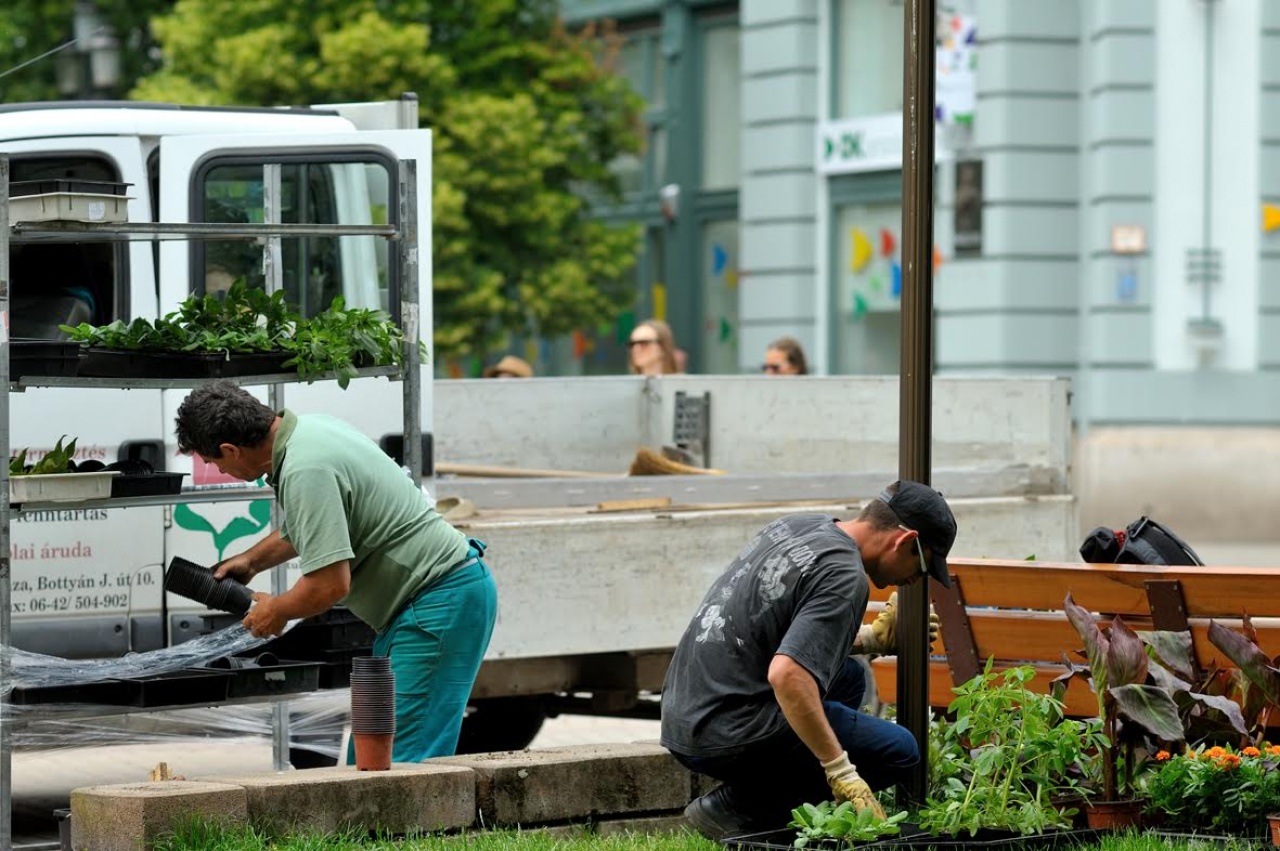 Képzik is az értékteremtő munkát végző közfoglalkoztatottakat