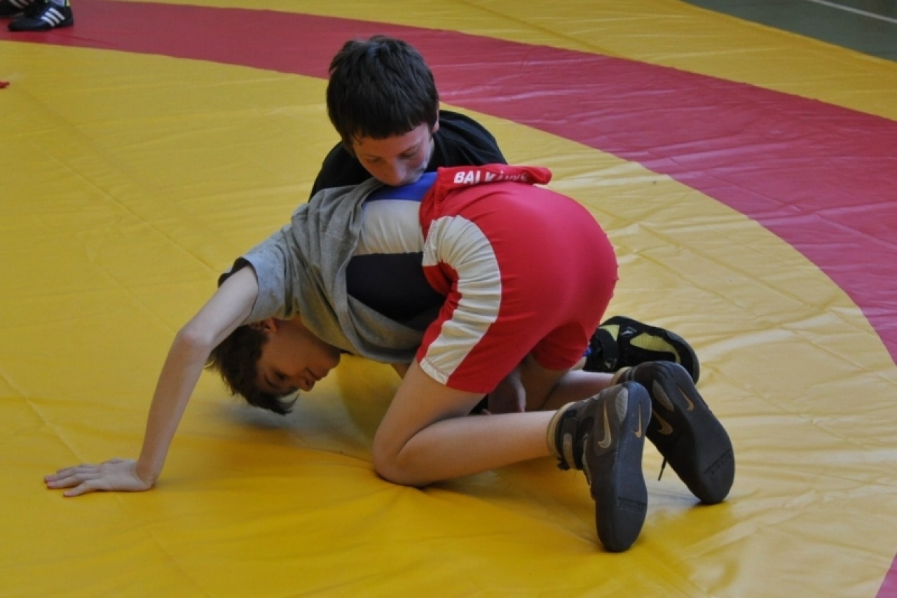 Nyírsport birkózó kupa