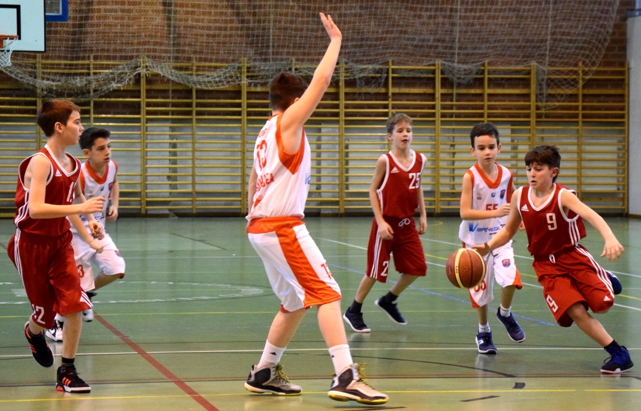 Darazsak és Tigrisek ellen a kenguruk között