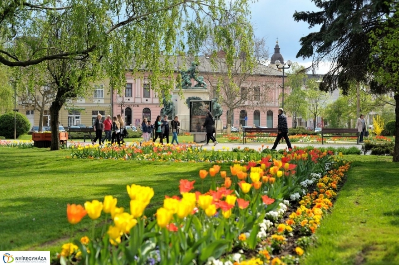 Növénypótlás a városban