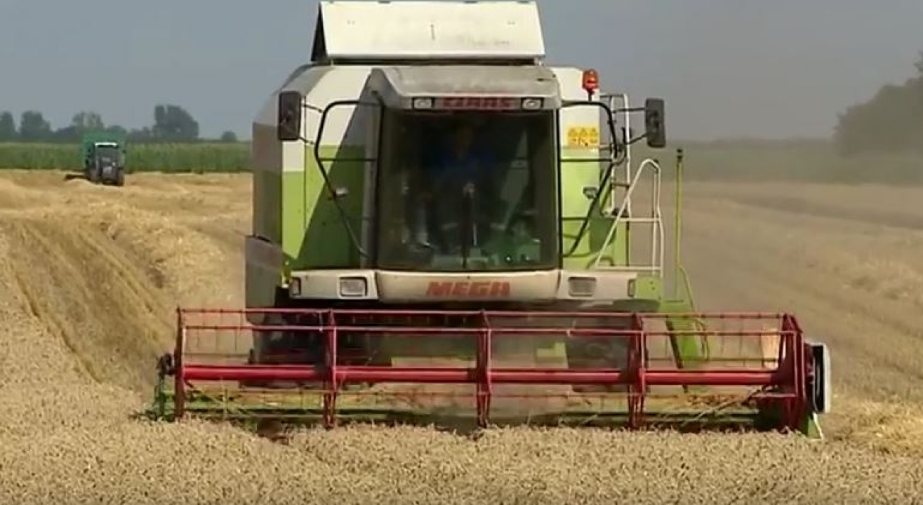 Egyéni gazdaságokat ír össze a KSH