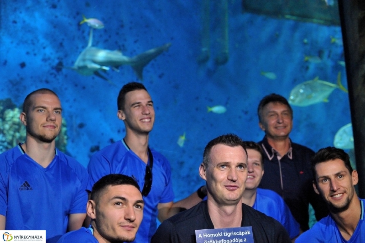 Cápát fogadtak örökbe a Cápák