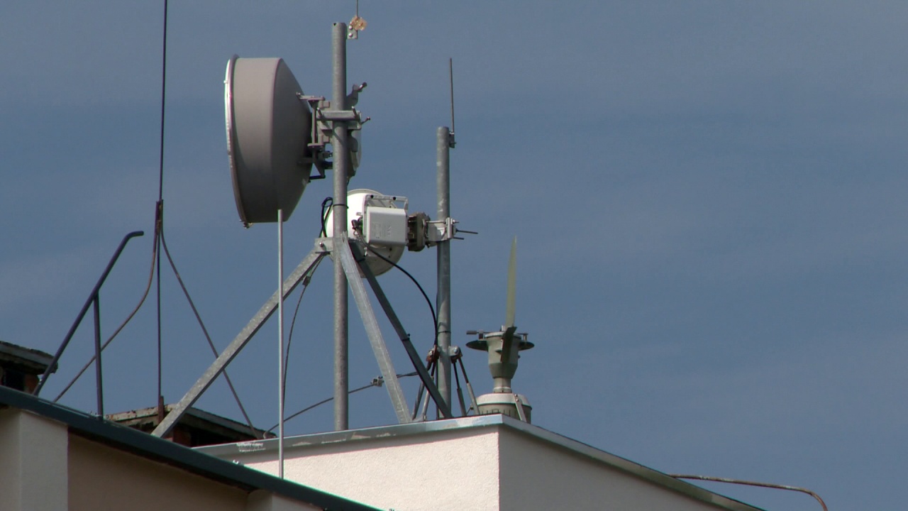 Már pollenszezon van