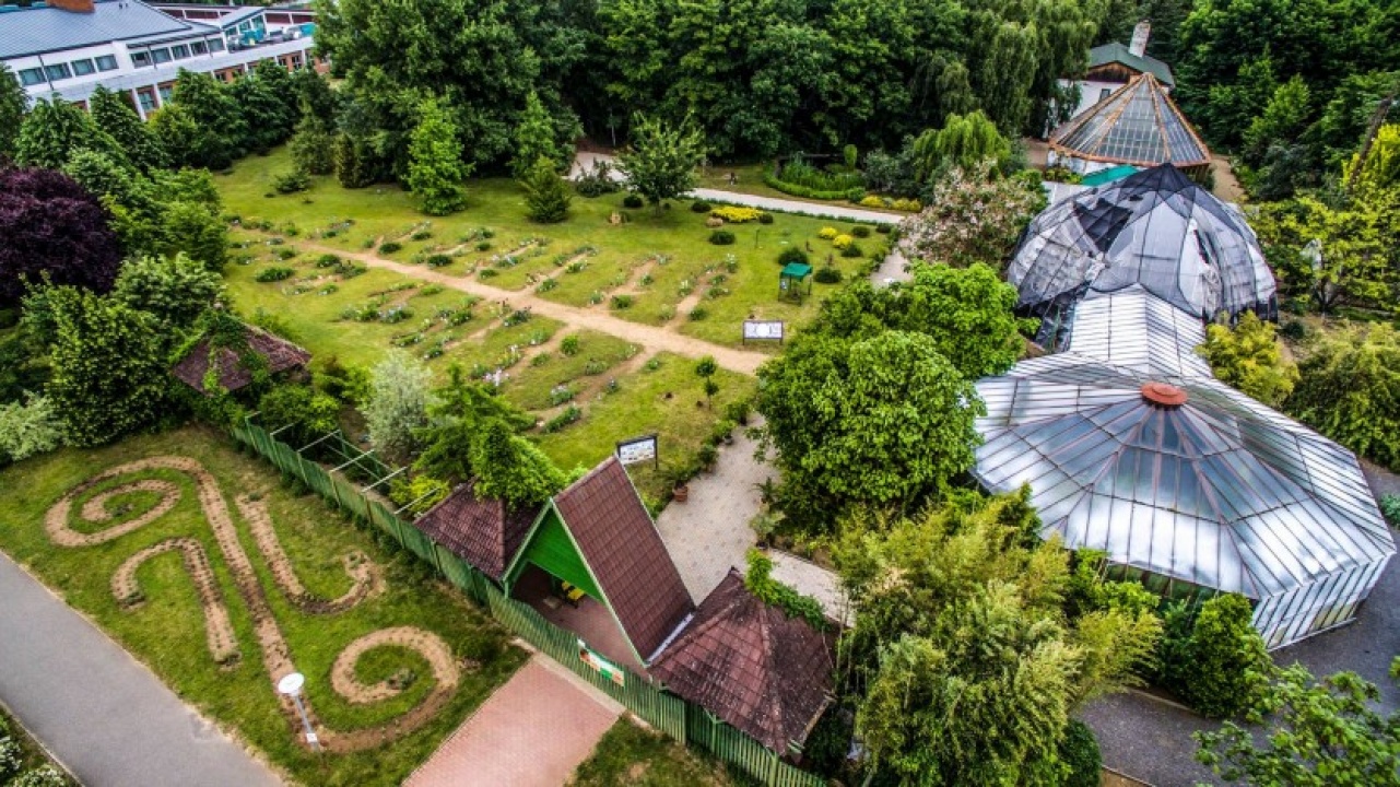 Virágzik az Élet fája