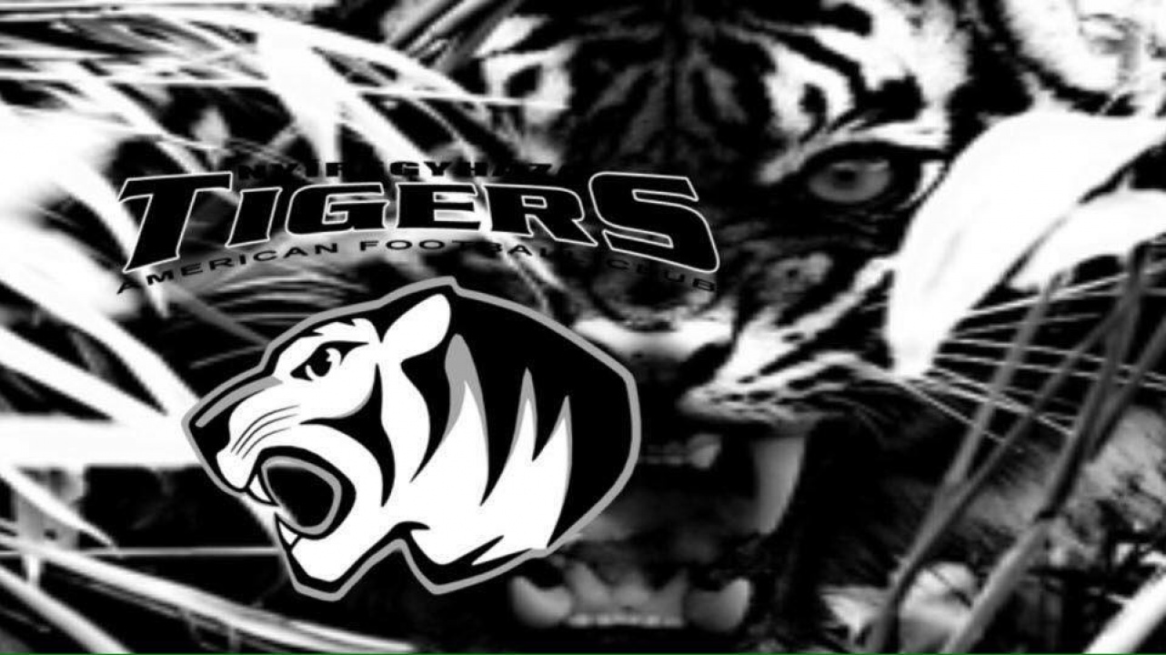 Játssz a tigriseknél!