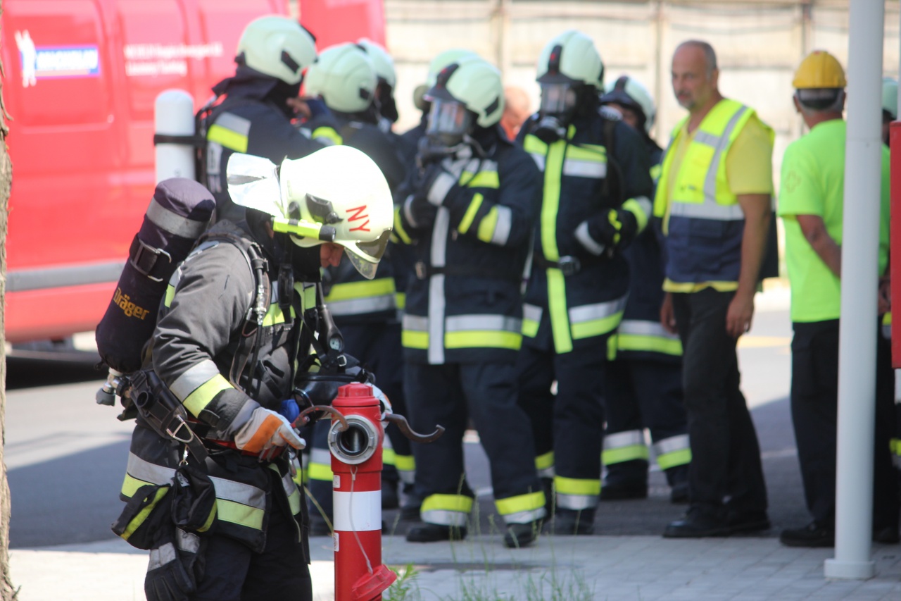 Hivatásos és létesítményi tűzoltók közösen gyakoroltak