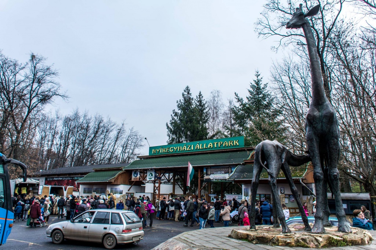 Kiemelt figyelem a Modern Városok Programnak