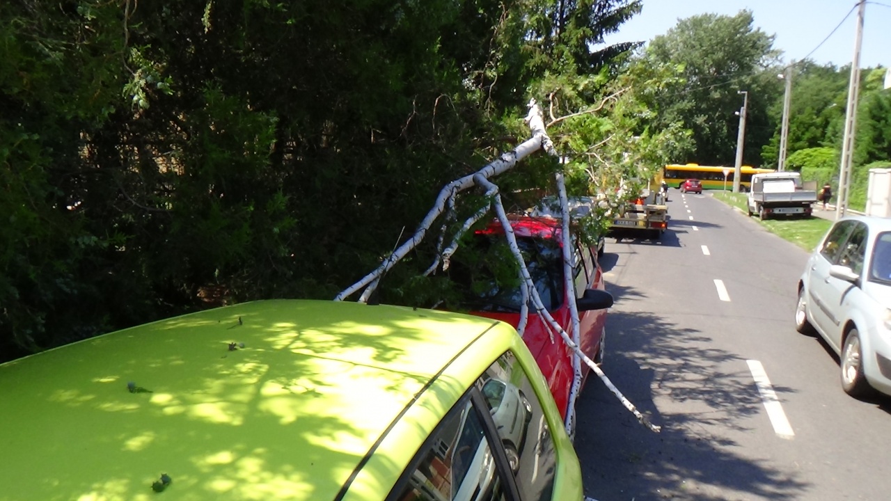 Parkoló autók károsodtak