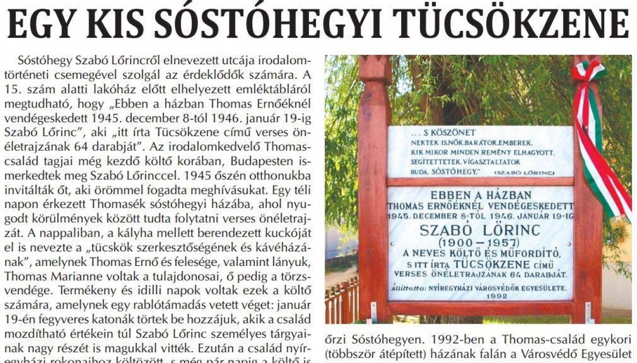 Amiről az utcák mesélnek... - Egy kis sóstóhegyi tücsökzene