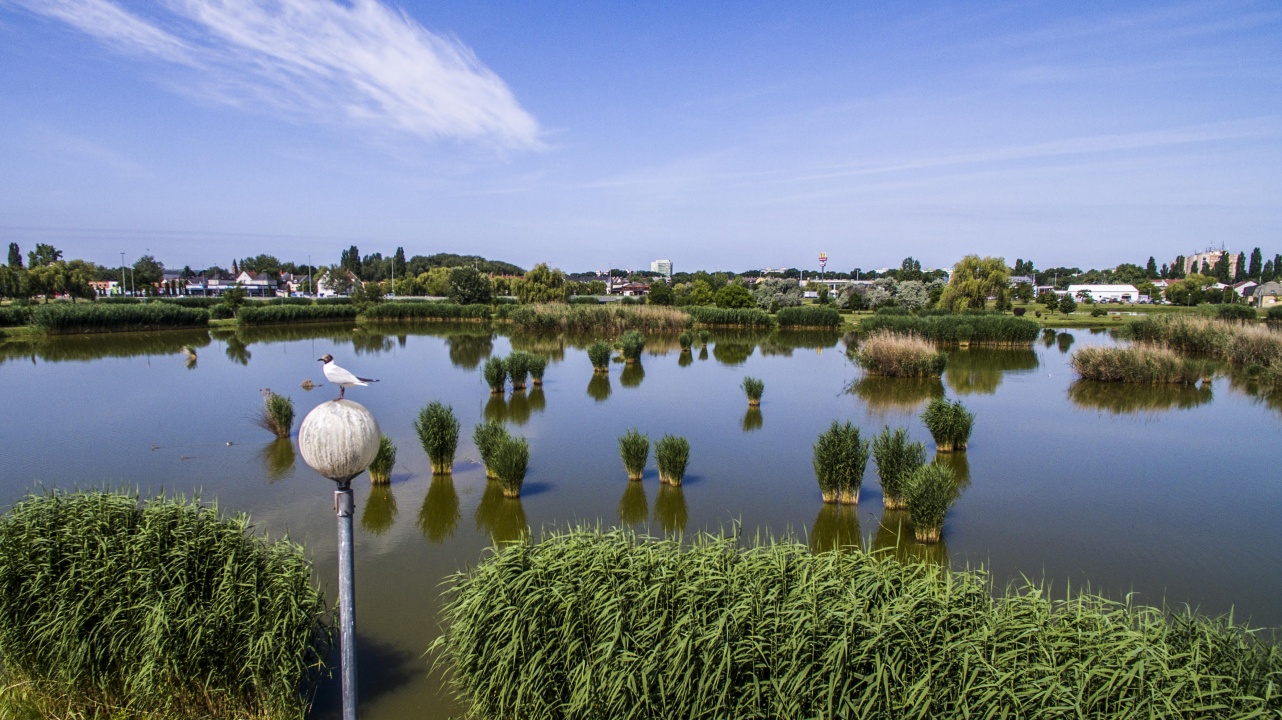 Kilátó épülhet a Bujtoson