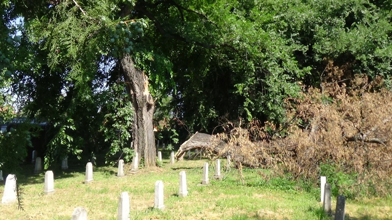 Síremlékekre borult egy vezérág a Hősök Temetőjében
