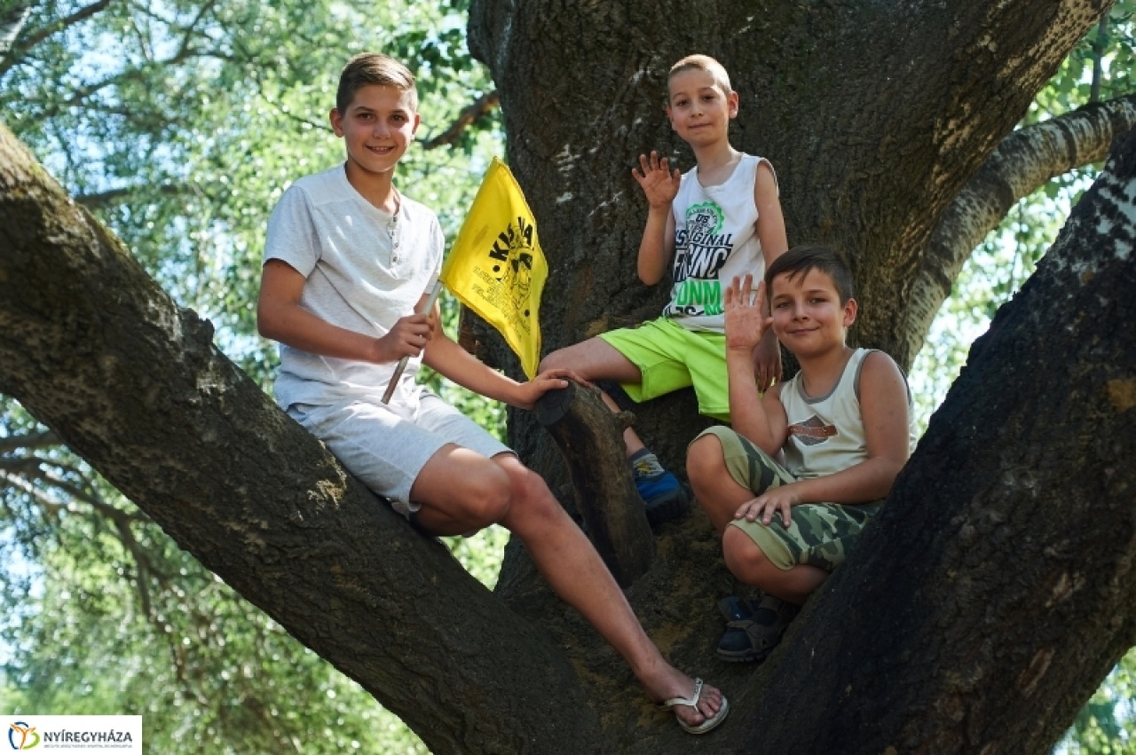 Huszonöt éve várja a gyerekeket a Kis Vakond nyári tábor