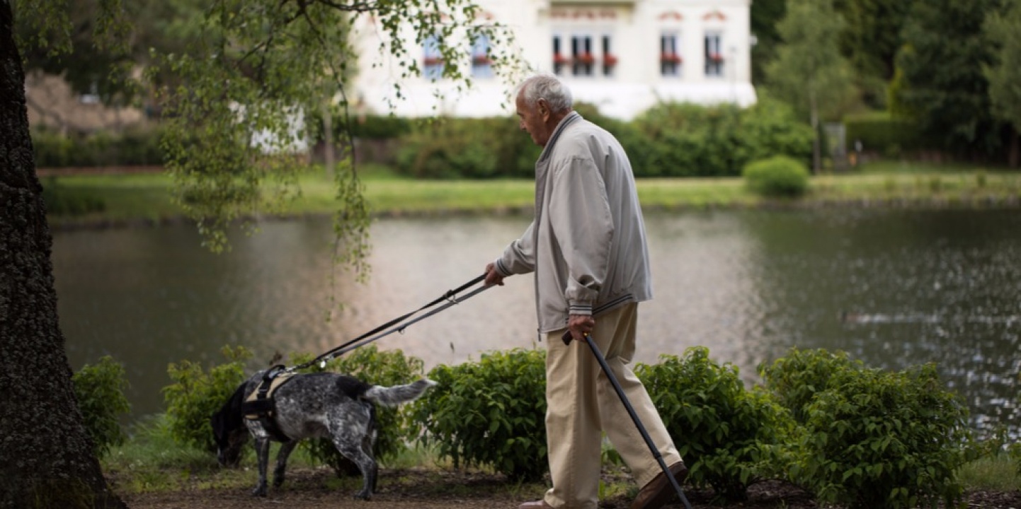 Aktív időskorhoz segíthet a kutyasétáltatás