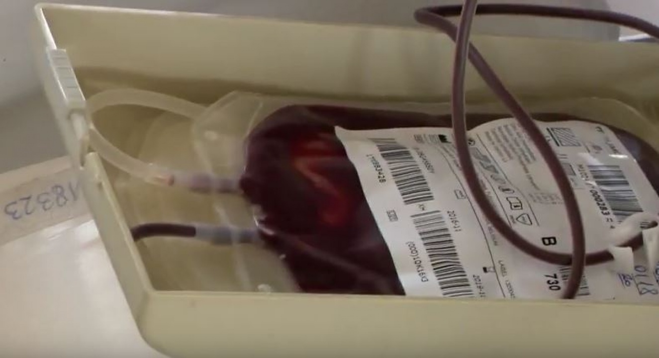 Nyári véradókampány