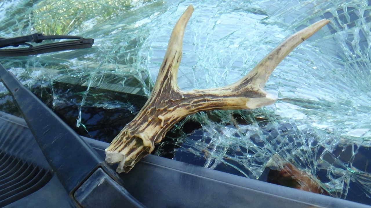 Vadgázolás Nagycserkesznél