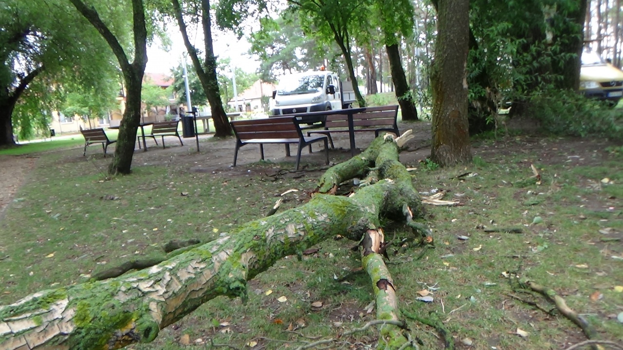 Ágak törtek a viharos szélben