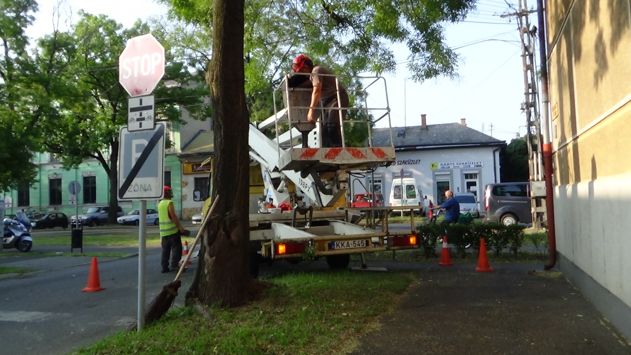 Faápolási munkálatok