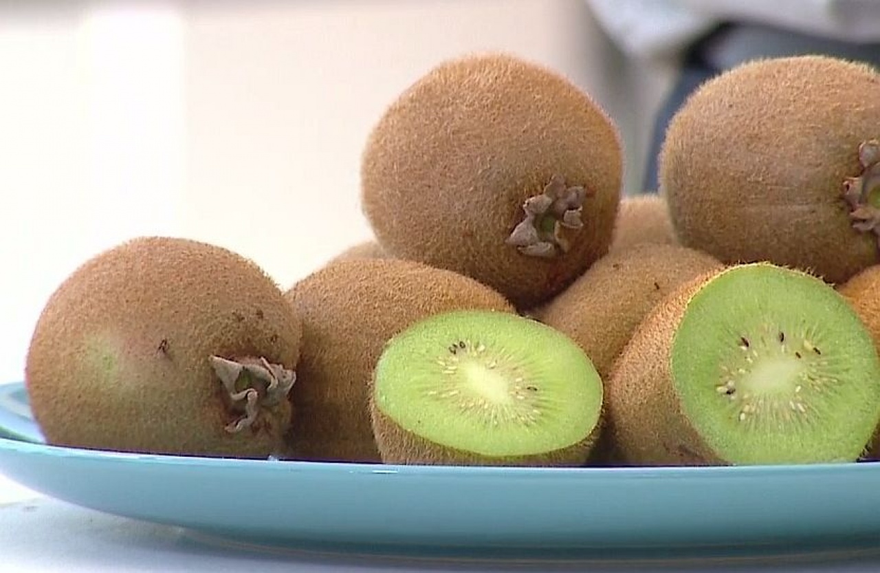 Ez nem fikció, ez a valóság - itt a magyar kivi!