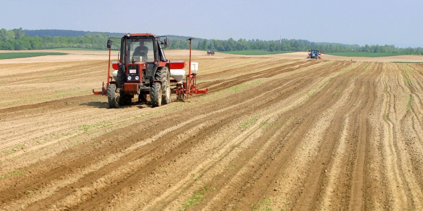 Nagyot drágultak a gyümölcsök